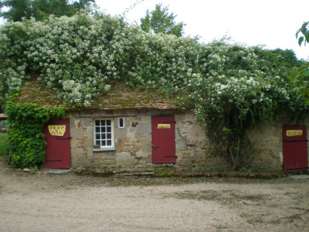 Geurende rozen Weddingday en Kliftscate